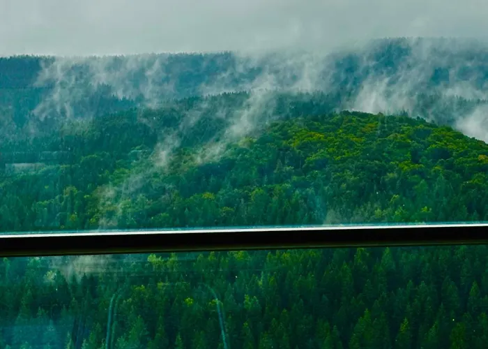 Iridam Apartment Adorf